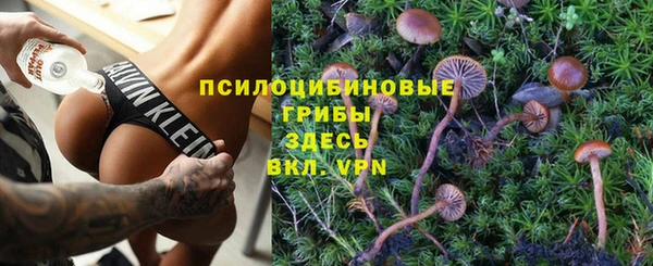 спайс Алексеевка