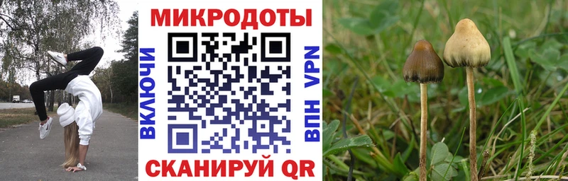 Купить закладки  Тарко-Сале  Галлюциногенные грибы MAGIC MUSHROOMS 